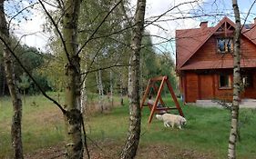 Wsród Pól i Lasów